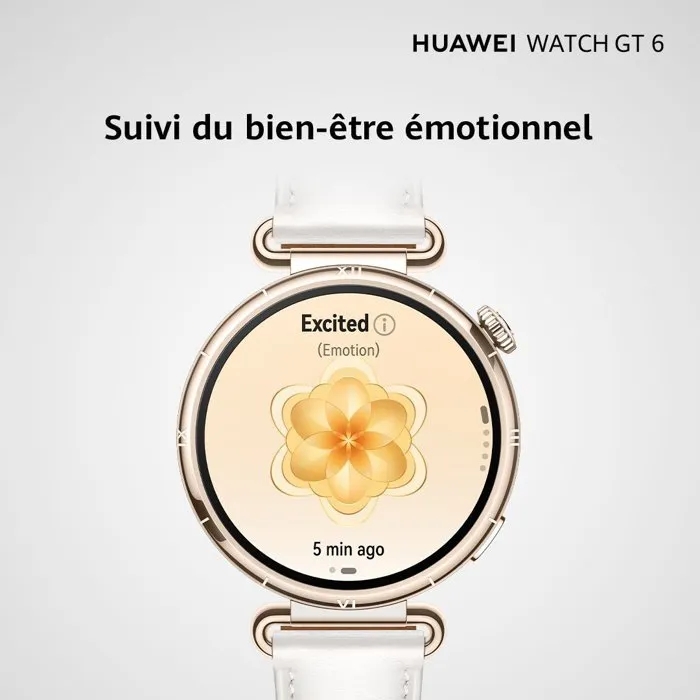 Smartwatch Huawei Watch GT 6 Konsu-B19M Dorado 1,32" 5