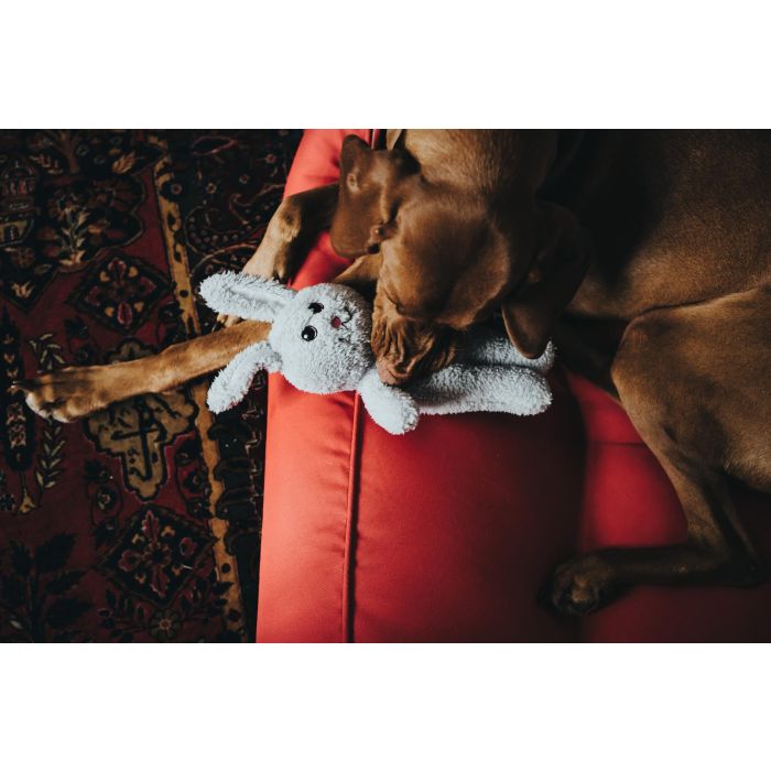 Juguete para perros Hunter Terni Gris Conejo 1 Juguete para perros Hunter Terni Gris Conejo 1