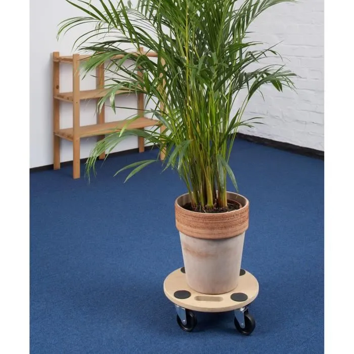 Meister Bandeja rodante 150 kg Ø 350 mm 1