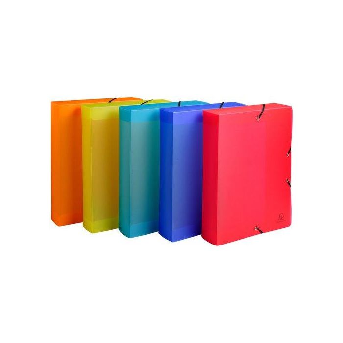 Carpeta De Proyectos Exacompta Linicolor Pp A4 Gomas 6 Cm Surtido (5 Col.)