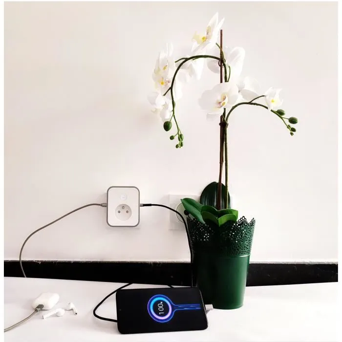 Konyks KON3770024338058 Toma Conectada Priska USB FR Wifi + Bt 16 A con 2 Tomas USB-A y Contador de Consumo Compatible con Alexa / Google Home 3