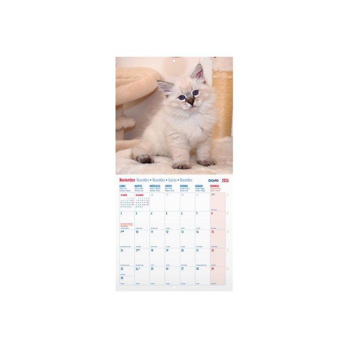 Calendario (2026) Dohe Pared Imagenes Mensual Para Escribir 300X300 Gatos