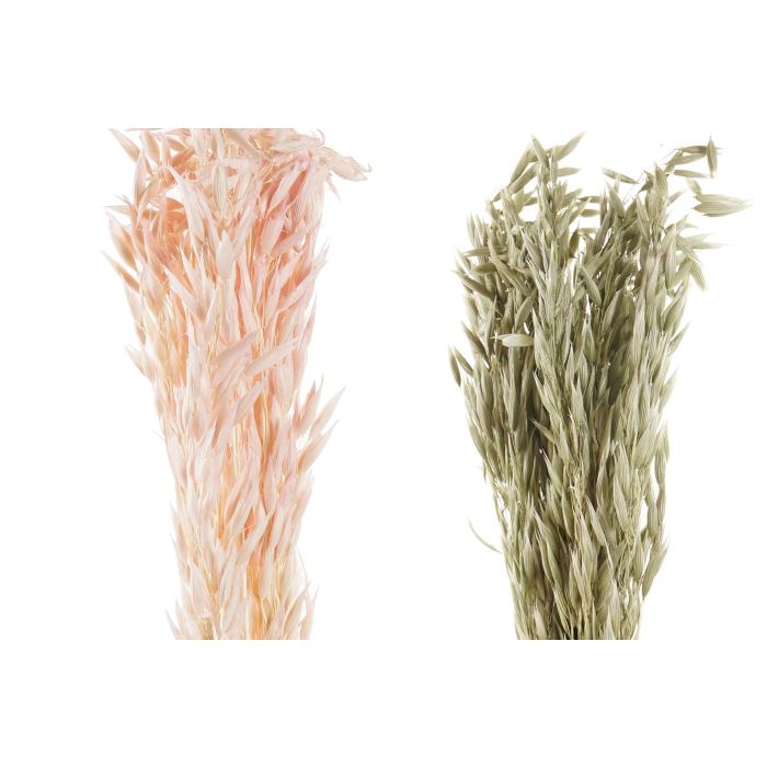 DKD Home Decor Rama de Flor Seca de Avena para Decoración de Hogar, Color Crema Rosa Palo, Altura 60 cm, Set de 12 Unidades 1