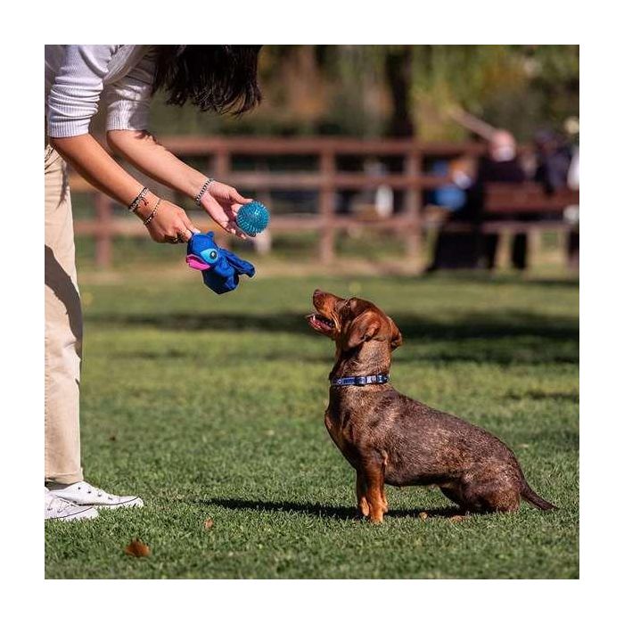 Cerdá Peluche Pelota de Stitch para Perro, Juguete Azul, 13x9x24 cm 5 Cerdá Peluche Pelota de Stitch para Perro, Juguete Azul, 13x9x24 cm 5