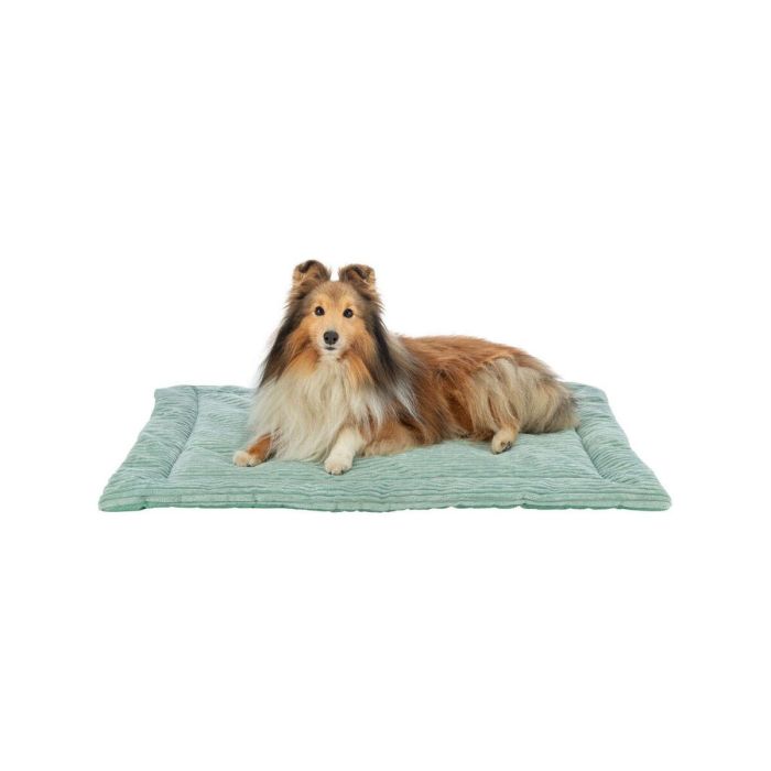 Colchón Trixie Jonna Verde 90 × 65 CM 2 Colchón Trixie Jonna Verde 90 × 65 CM 2