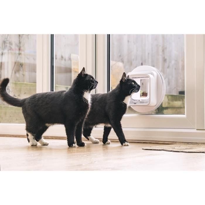 Sureflap iDSCFWT Gatera Conectada para Gatos con Chip Electrónico - Compatible con Hub y App Sure Petcare, Control Remoto, Blanco 2 Sureflap iDSCFWT Gatera Conectada para Gatos con Chip Electrónico - Compatible con Hub y App Sure Petcare, Control Remoto, Blanco 2