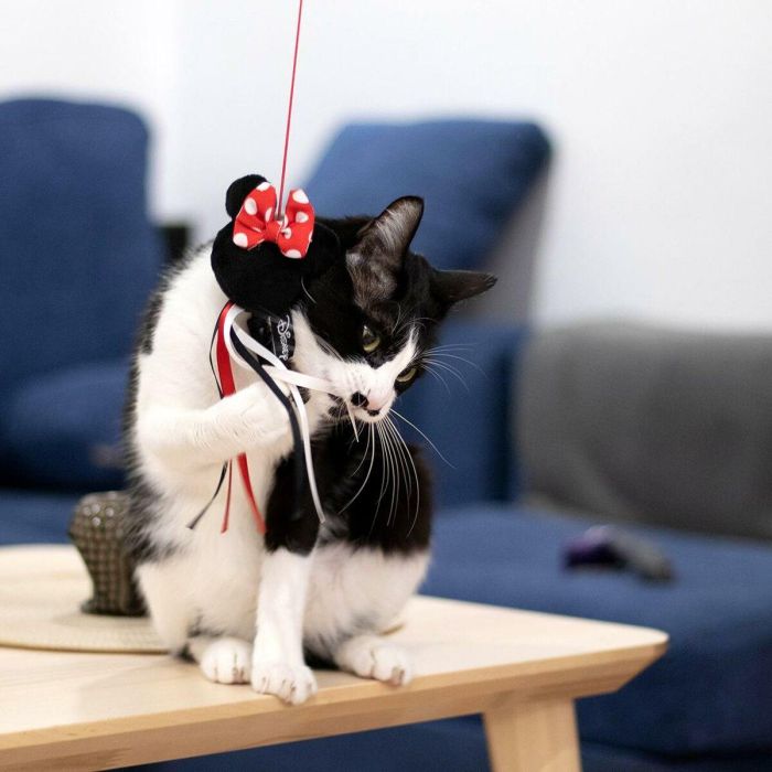 Cerdá Varita para Gato Minnie Negra, dimensiones 3 x 7 x 46 cm 8