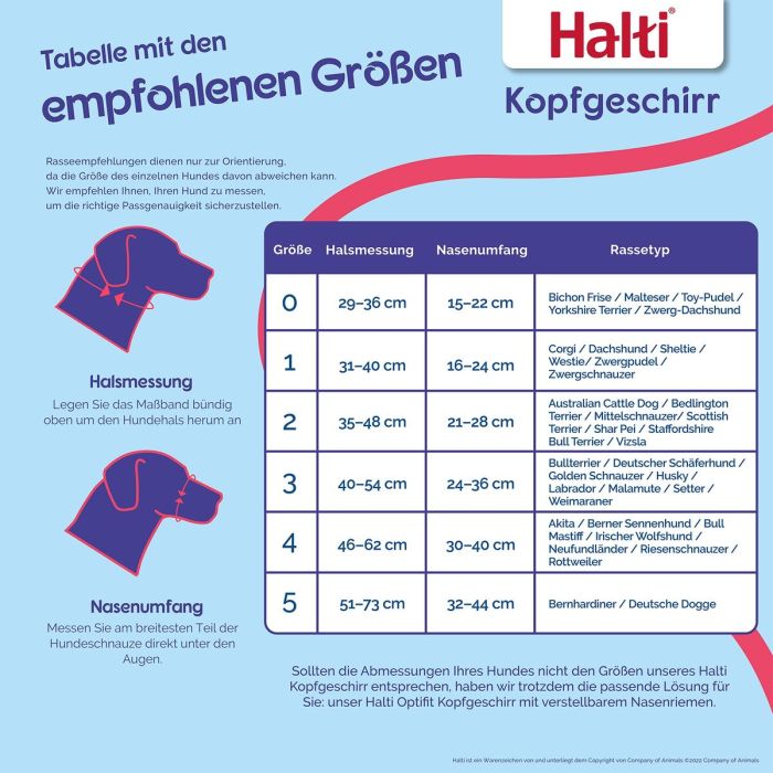 Bozal Company of Animals BURNT Naranja 3 7