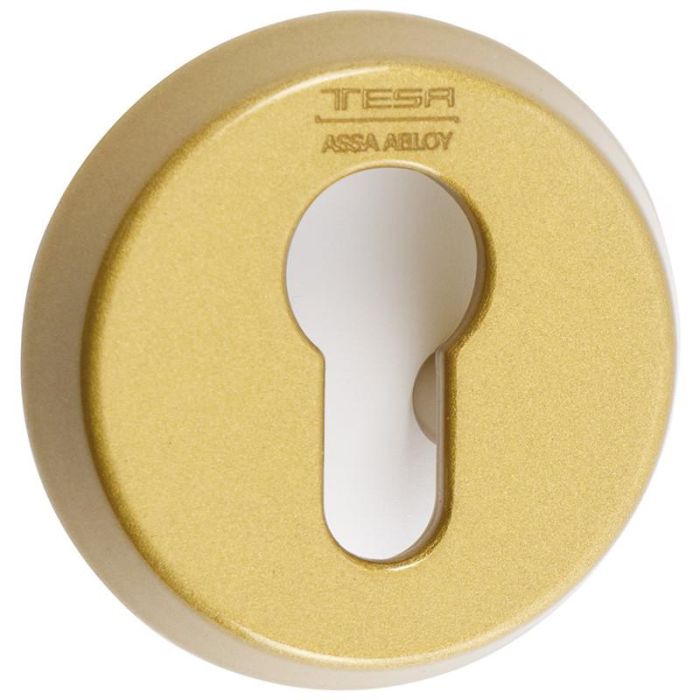 TESA E300L26Lm Escudo de Seguridad Abierto para Cerradura, Acabado Latón Mate.