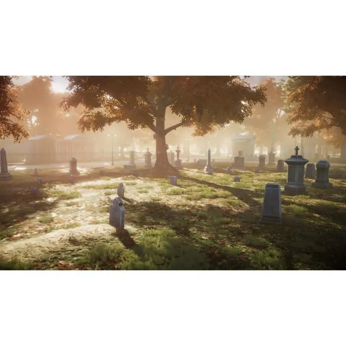 Microids Blacksad: Bajo la piel - Juego de PS5 2