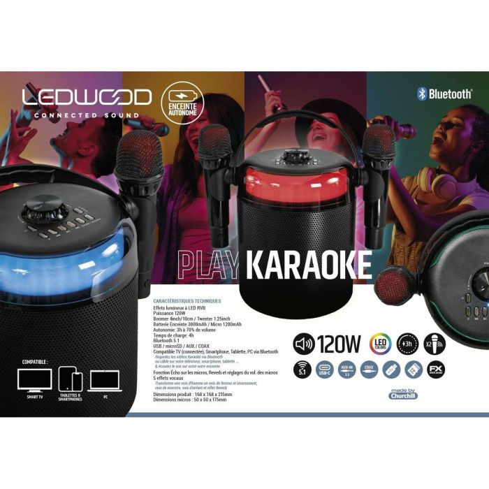 Altavoces Ledwood LD-PLAYKARAOKE 1 Altavoces Ledwood LD-PLAYKARAOKE 1