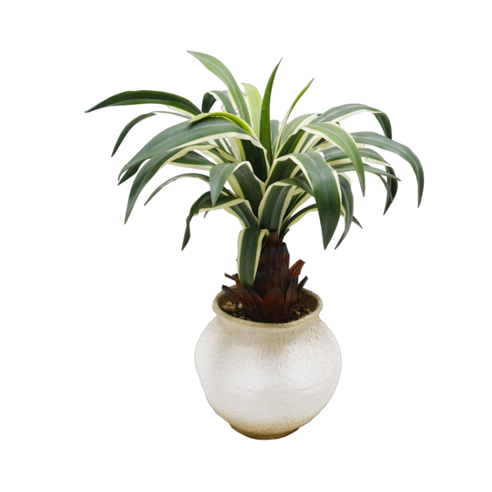 DKD Home Decor Planta Verde Crema de Pe y Magnesia 60 x 65 x 60 cm (2 Unidades)