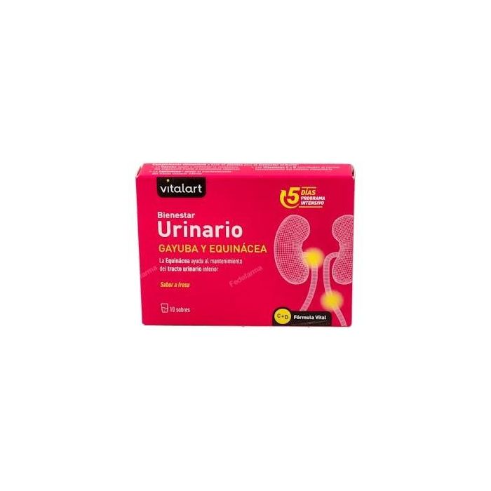 Vitalart Bienestar Urinario con Gayuba, Arándano Rojo y Equinácea, Sabor Fresa, 10 Sobres