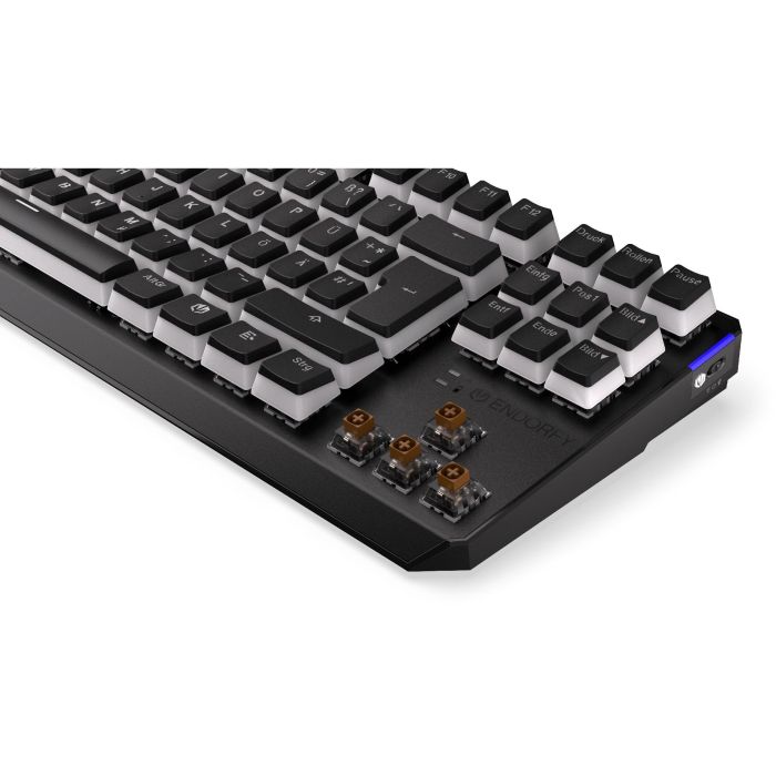ENDORFY Thock TKL Wireless Pudding (schwarz. DE-Layout. Kailh Box Red) 12