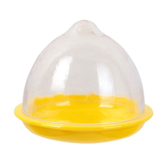 Cook Concept Recipiente para Conservar Limón con Tapa Bloqueable 2