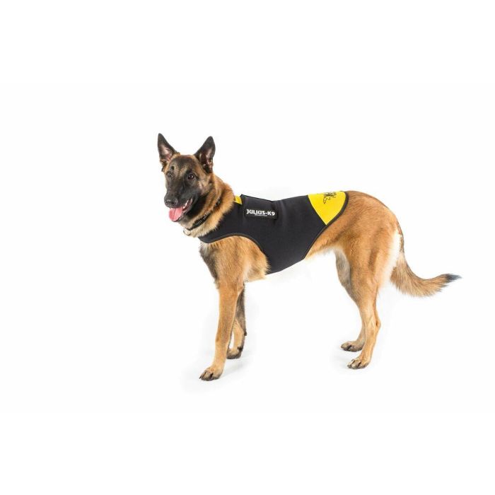 Arnés para Perro Julius K9 IDC L/XL 2 5 Arnés para Perro Julius K9 IDC L/XL 2 5
