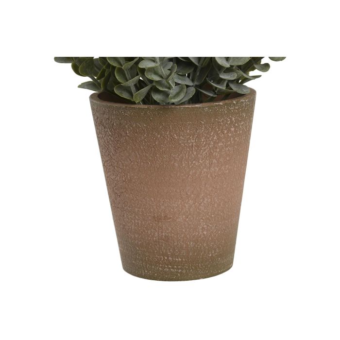 Planta  DKD Home Decor Verde Amarillo 15 x 18.5 x 15 cm (12 Unidades) 3 Planta  DKD Home Decor Verde Amarillo 15 x 18.5 x 15 cm (12 Unidades) 3