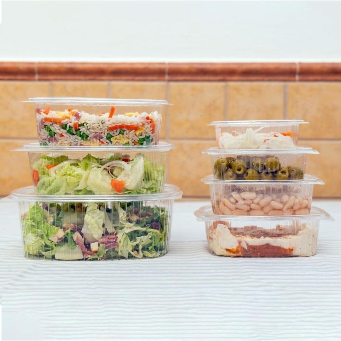 Algon Set 6 Envase Bisagra Ps 250ml Plástico Transparente 16 x 13 x 4 cm (24 Unidades)