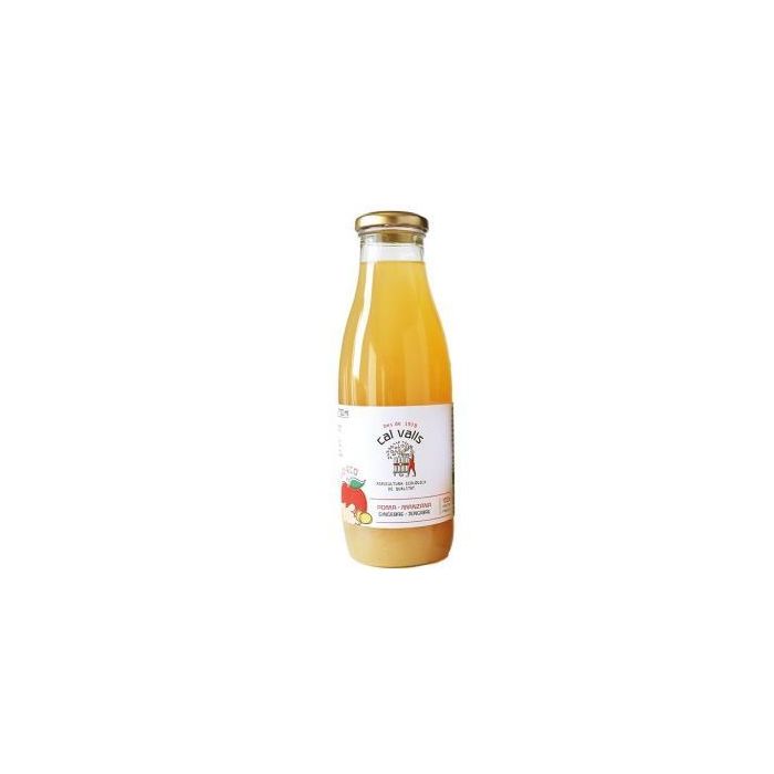Zumo De Manzana Con Jengibre 750 Ml Eco Zumo De Manzana Con Jengibre 750 Ml Eco