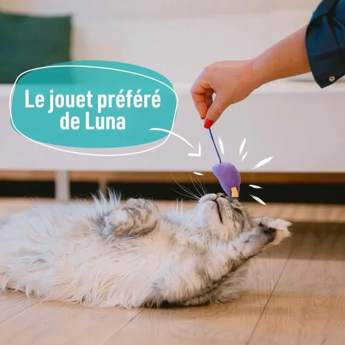 Aime AIME901557 7 Juguetes para Gatos 3