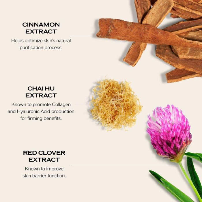 Shiseido BIO-PERFORMANCE SKIN FILLER Sérum Dúo Antiarrugas y Antiedad con Ácido Hialurónico Rellenador para Noche y Día Recarga 2 x 30ml 4 Shiseido BIO-PERFORMANCE SKIN FILLER Sérum Dúo Antiarrugas y Antiedad con Ácido Hialurónico Rellenador para Noche y Día Recarga 2 x 30ml 4