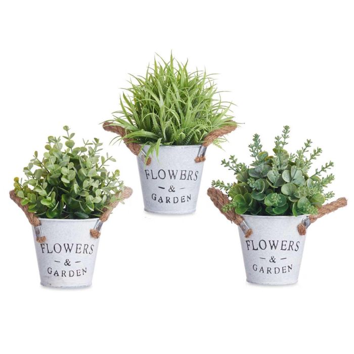 Planta Flor Verde Envejecid Bote Metal 24Cm Surtidos Ibergarden (12 Unidades) 1 Planta Flor Verde Envejecid Bote Metal 24Cm Surtidos Ibergarden (12 Unidades) 1