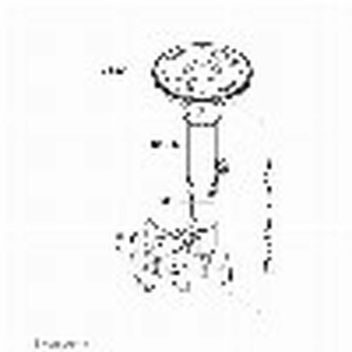 Soporte TV Neomounts FPMA-C025SILVER 10" 30" 12 kg 19 Soporte TV Neomounts FPMA-C025SILVER 10" 30" 12 kg 19