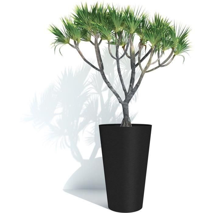 Maceta alta para flores - GARDEN ID - Green Care Sense Tall Black-Anthr. - 55 cm - Garantía de 10 años - 100% reciclado - Resistencia a los rayos UV y al gel 2 Maceta alta para flores - GARDEN ID - Green Care Sense Tall Black-Anthr. - 55 cm - Garantía de 10 años - 100% reciclado - Resistencia a los rayos UV y al gel 2