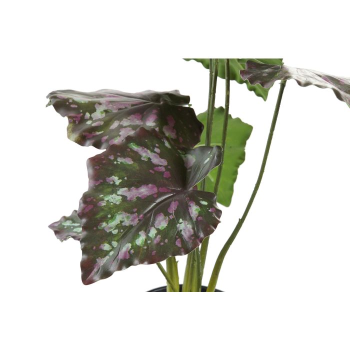 DKD Home Decor Planta Artificial de PE, Verde y Rosa, Set de 6 Unidades, 20 x 20 x 39 cm 1 DKD Home Decor Planta Artificial de PE, Verde y Rosa, Set de 6 Unidades, 20 x 20 x 39 cm 1