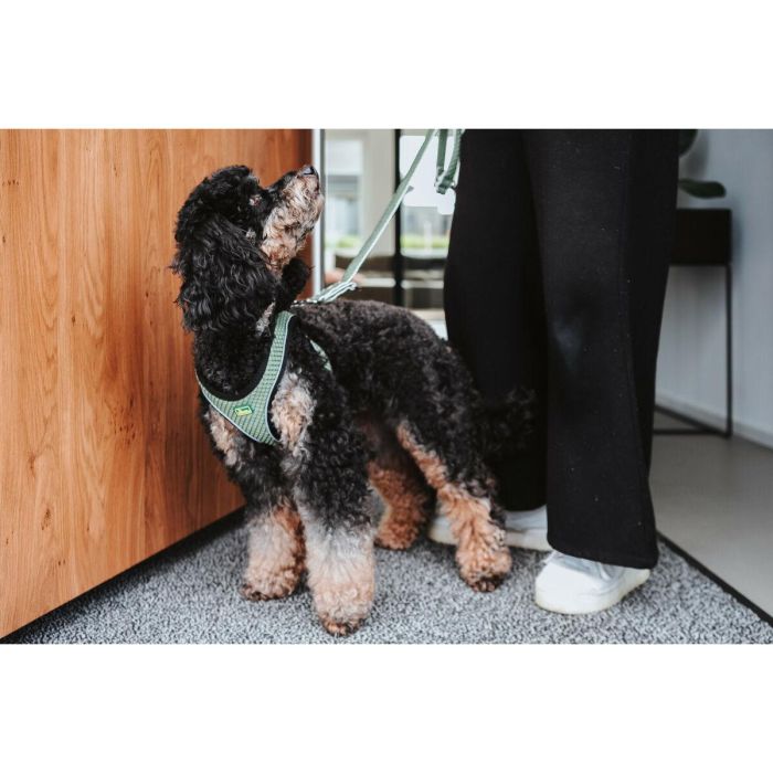 Hunter Arnés Hilo Comfort Talla XXS-XS Cuello 30-35 cm Verde Claro Malla 3D Transpirable Easy Step-In Reflectante 2 Hunter Arnés Hilo Comfort Talla XXS-XS Cuello 30-35 cm Verde Claro Malla 3D Transpirable Easy Step-In Reflectante 2