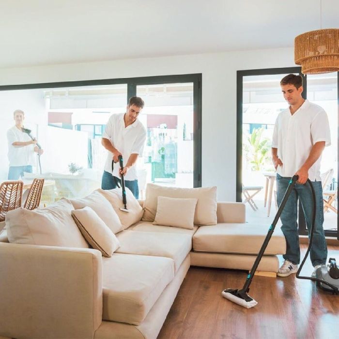 Vaporeta Cecotec HydroSteam 2000 EasyHome Max 3 Vaporeta Cecotec HydroSteam 2000 EasyHome Max 3