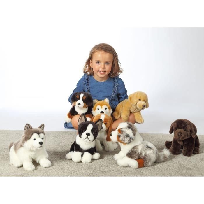 Gipsy Toys AUC3268060711251 Peluche Perro Boyero de Berna Sentado 25 cm 3 Gipsy Toys AUC3268060711251 Peluche Perro Boyero de Berna Sentado 25 cm 3