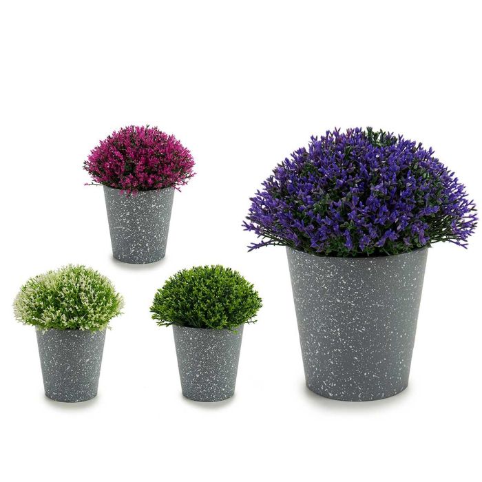 Maceta Gris Ptos Flor Mini Surtidoscolores Ibergarden 14X16CM (24 Unidades) Maceta Gris Ptos Flor Mini Surtidoscolores Ibergarden 14X16CM (24 Unidades)