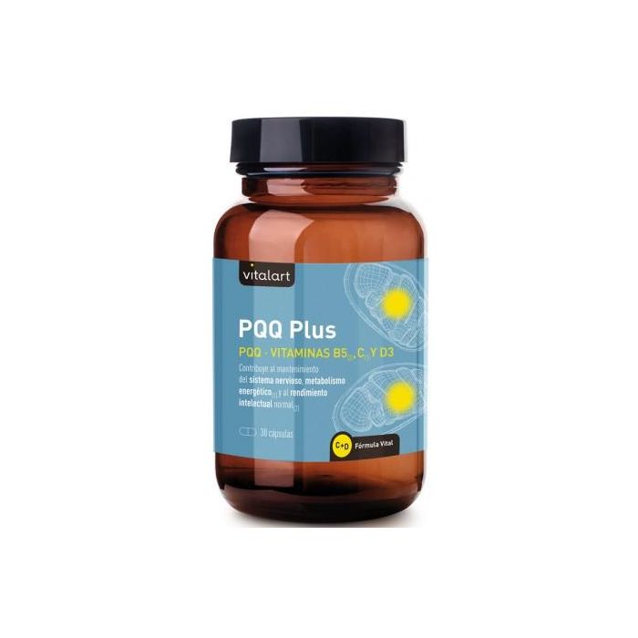 Pqq Plus Pqq Plus