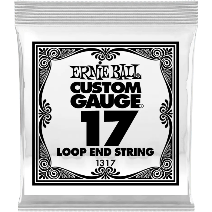 ERNIEBALL Cuerda Mandolina / Banjo Stainless Steel .017 0 ERNIEBALL Cuerda Mandolina / Banjo Stainless Steel .017 0