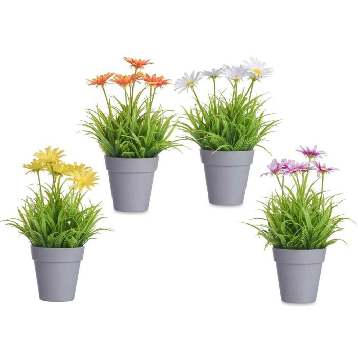 Maceta Margarita Surtidos Ibergarden 14x21x14cm (24 Unidades) 1 Maceta Margarita Surtidos Ibergarden 14x21x14cm (24 Unidades) 1