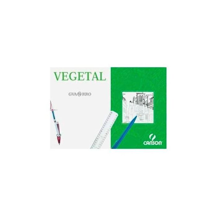 Canson Caja De Láminas Vegetal Basik 250 Hojas 90 gr 29,7x42 cm