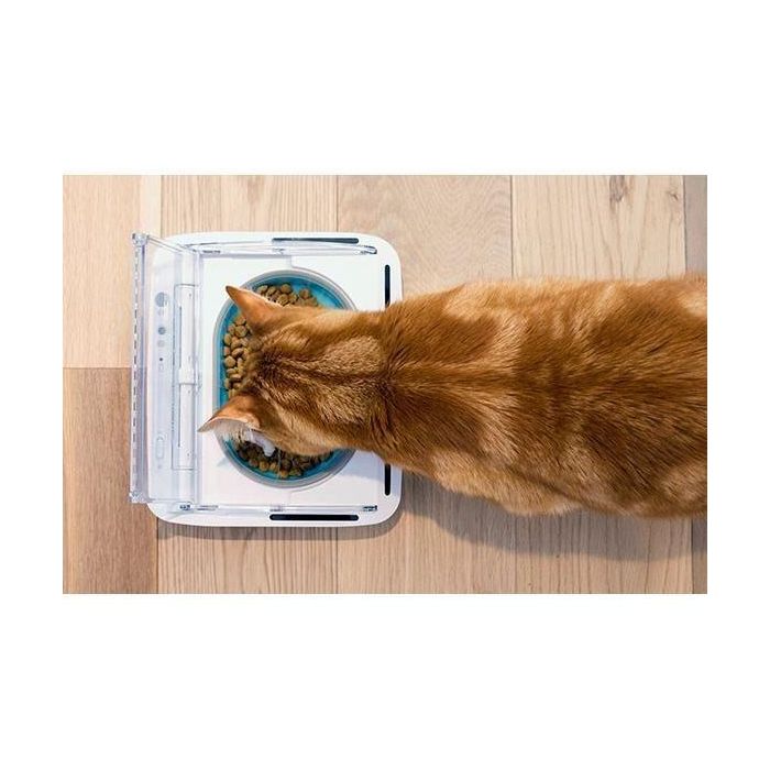 SUREFLAP Dispensador automático de alimentos - recipiente hermético SureFeed - para gatos y perros pequeños 4 SUREFLAP Dispensador automático de alimentos - recipiente hermético SureFeed - para gatos y perros pequeños 4