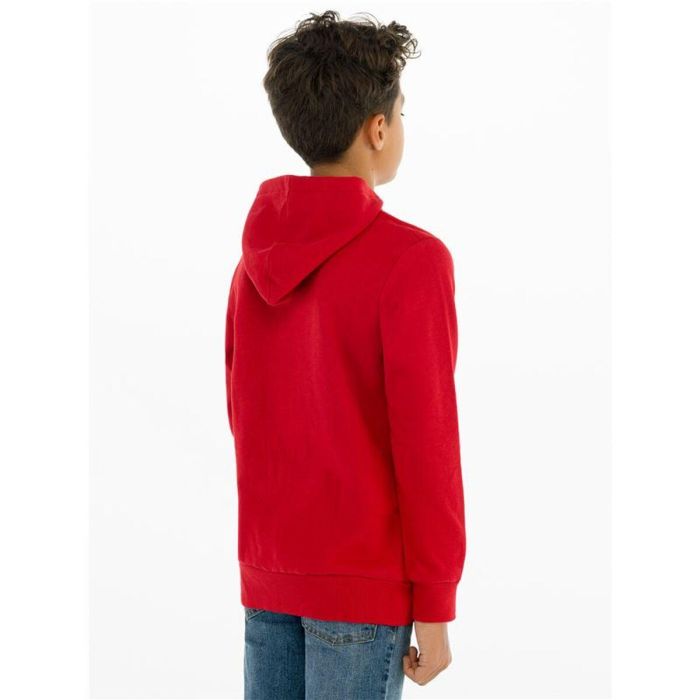Sudadera Infantil Levi's Batwing Screenprint Rojo 2