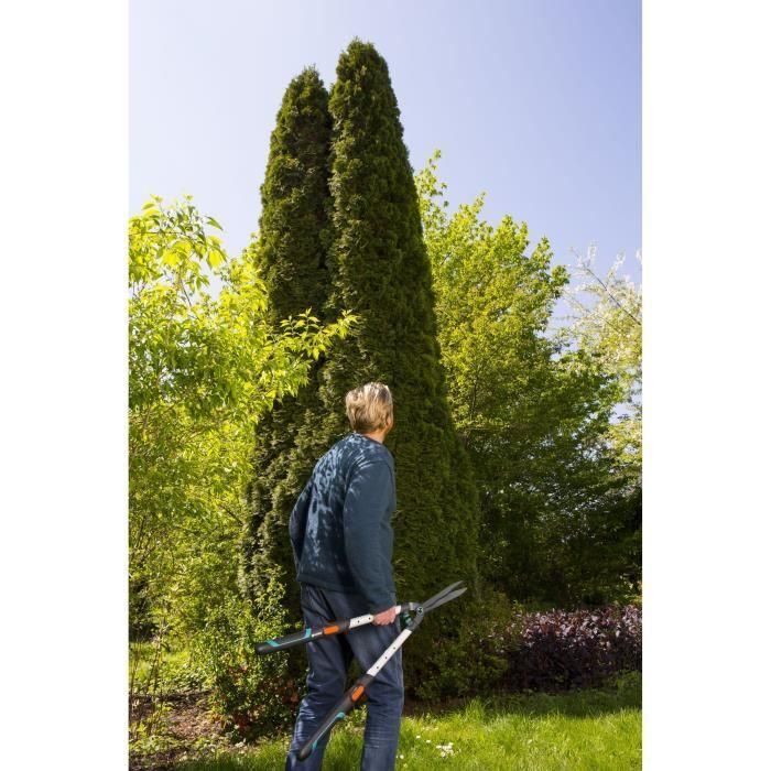 Gardena TeleCut Cortasetos Telescópico con Cuchillas Onduladas Antiadherentes, Brazos Extensibles de Aluminio +20cm, Longitud de Corte 25cm 2 Gardena TeleCut Cortasetos Telescópico con Cuchillas Onduladas Antiadherentes, Brazos Extensibles de Aluminio +20cm, Longitud de Corte 25cm 2