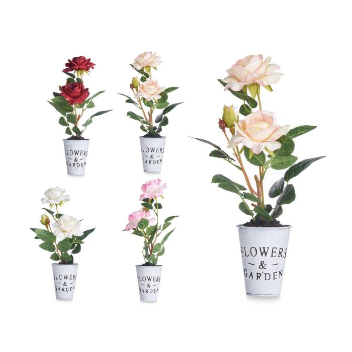 Planta Rosa Bote Metal Surtidos Ibergarden 15x36x12cm (12 Unidades) 0 Planta Rosa Bote Metal Surtidos Ibergarden 15x36x12cm (12 Unidades) 0