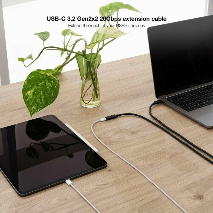 Cable USB NANOCABLE USB 3.2 GEN2x2 Negro 4