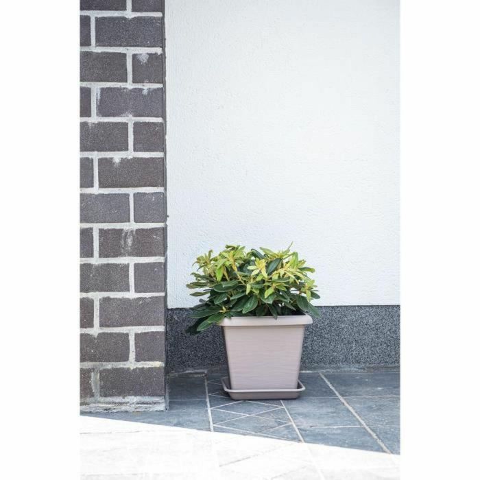 Maceta Garden ID Taupé Cuadrado 40 x 35 cm 1 Maceta Garden ID Taupé Cuadrado 40 x 35 cm 1