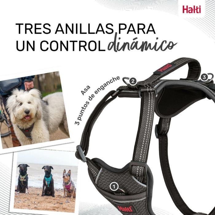 Halti Anatomy Arnés Gris S Cuerpo 39-56 cm 4