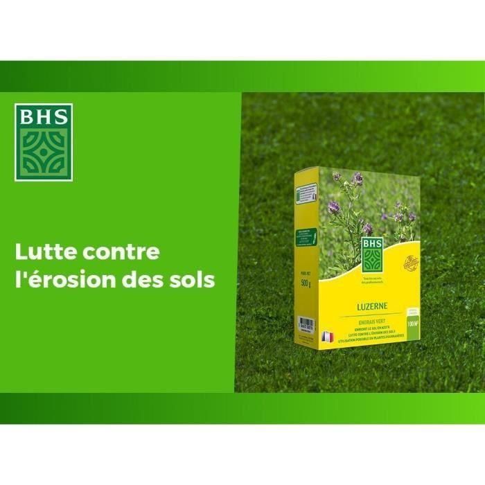 BHS AUC3366670500316 Alfalfa 500g para 100m², Mejora Suelo, Resiste Frío y Sequía, Rica en Proteínas y Vitaminas 2 BHS AUC3366670500316 Alfalfa 500g para 100m², Mejora Suelo, Resiste Frío y Sequía, Rica en Proteínas y Vitaminas 2