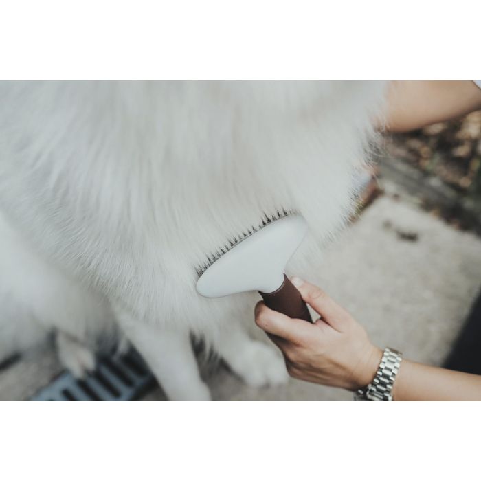 Hunter Peine de Curry Antienredos para Perros de Pelo Largo y Denso con Doble Fila de Púas de Acero Inoxidable - Elimina Pelo Muerto 3 Hunter Peine de Curry Antienredos para Perros de Pelo Largo y Denso con Doble Fila de Púas de Acero Inoxidable - Elimina Pelo Muerto 3