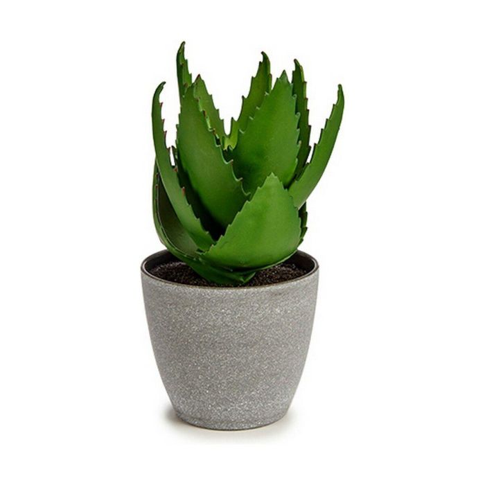 Planta Decorativa Ibergarden YC184573 Plástico Aloe Vera 15 x 23,5 x 15 cm (6 Unidades) 1