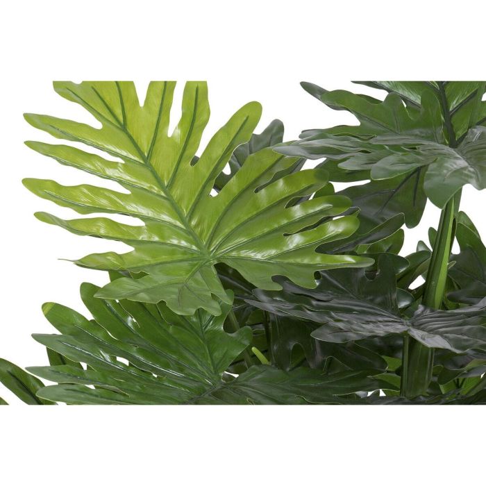 Planta DKD Home Decor Verde 80 x 100 x 80 cm 2