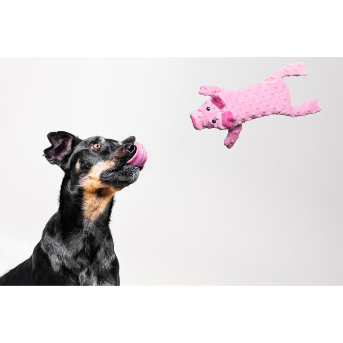 Gloria Juguete para Perro Dogmonsters Cerdito de Peluche con Cremallera, Recargable para Botella Plástica Sonido Crujiente, 100% Poliéster 0 Gloria Juguete para Perro Dogmonsters Cerdito de Peluche con Cremallera, Recargable para Botella Plástica Sonido Crujiente, 100% Poliéster 0