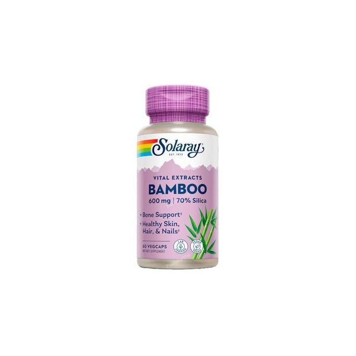 Bamboo